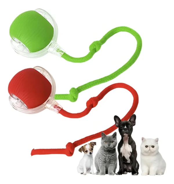 d nq np 2x 687611 mla92714809723 092025 f