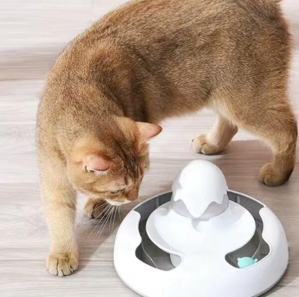alimentador interactivo con temporizador y juego de caza para gatos y perros