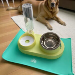 whatsapp image 2025 11 03 at 12.20.17 pm (1)