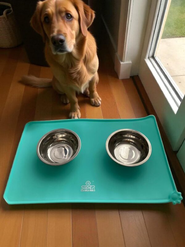 whatsapp image 2025 11 03 at 12.20.18 pm